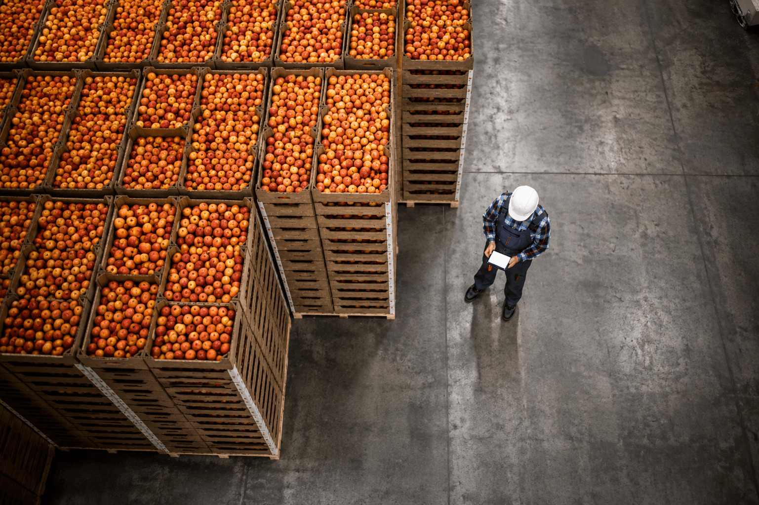 Diarch farm exports